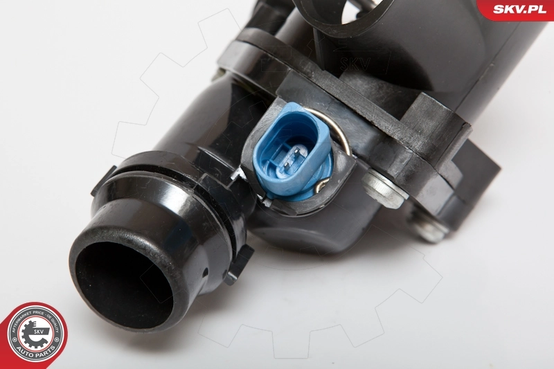 Thermostat, coolant